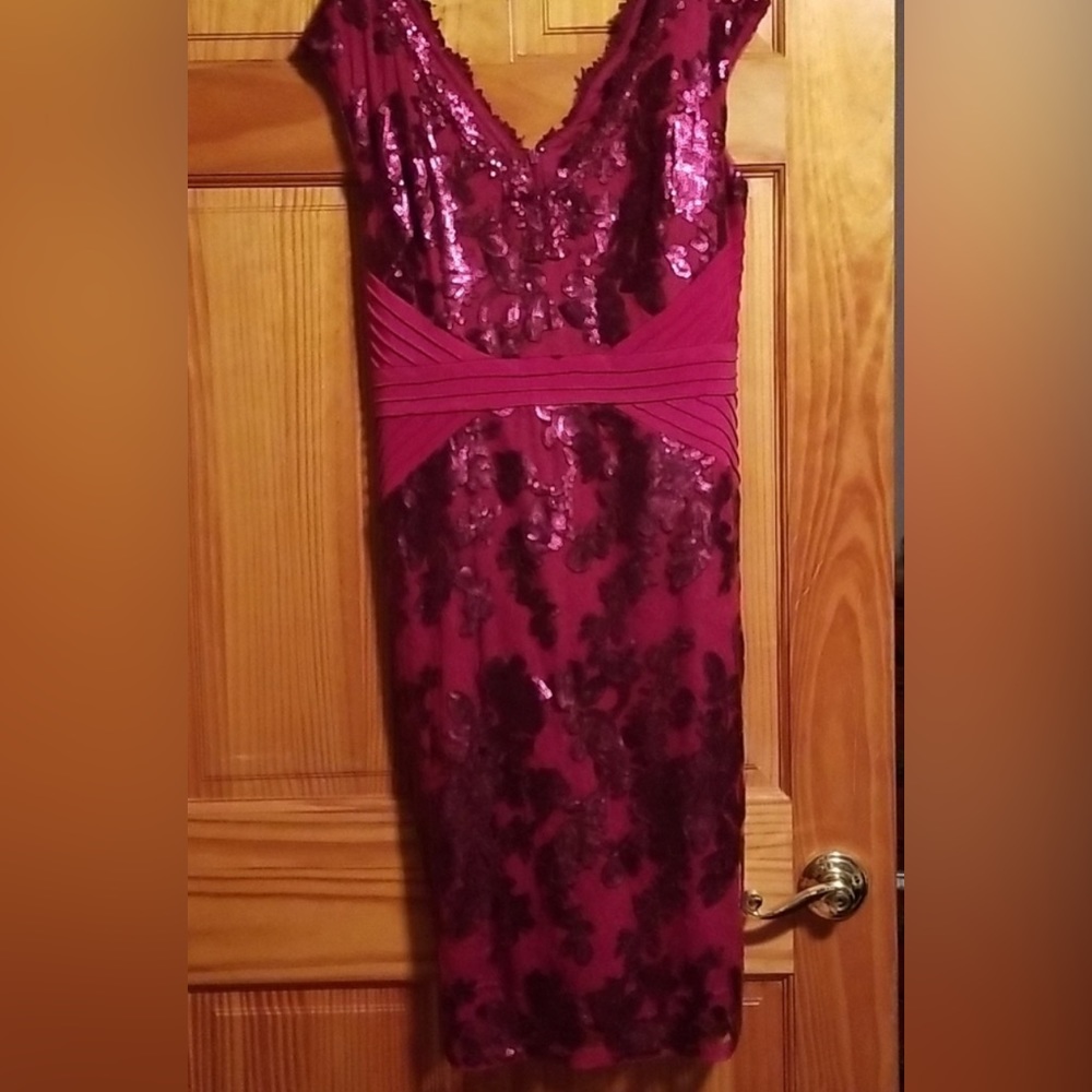 Absolutely Beautiful Adrianna Papell dress.